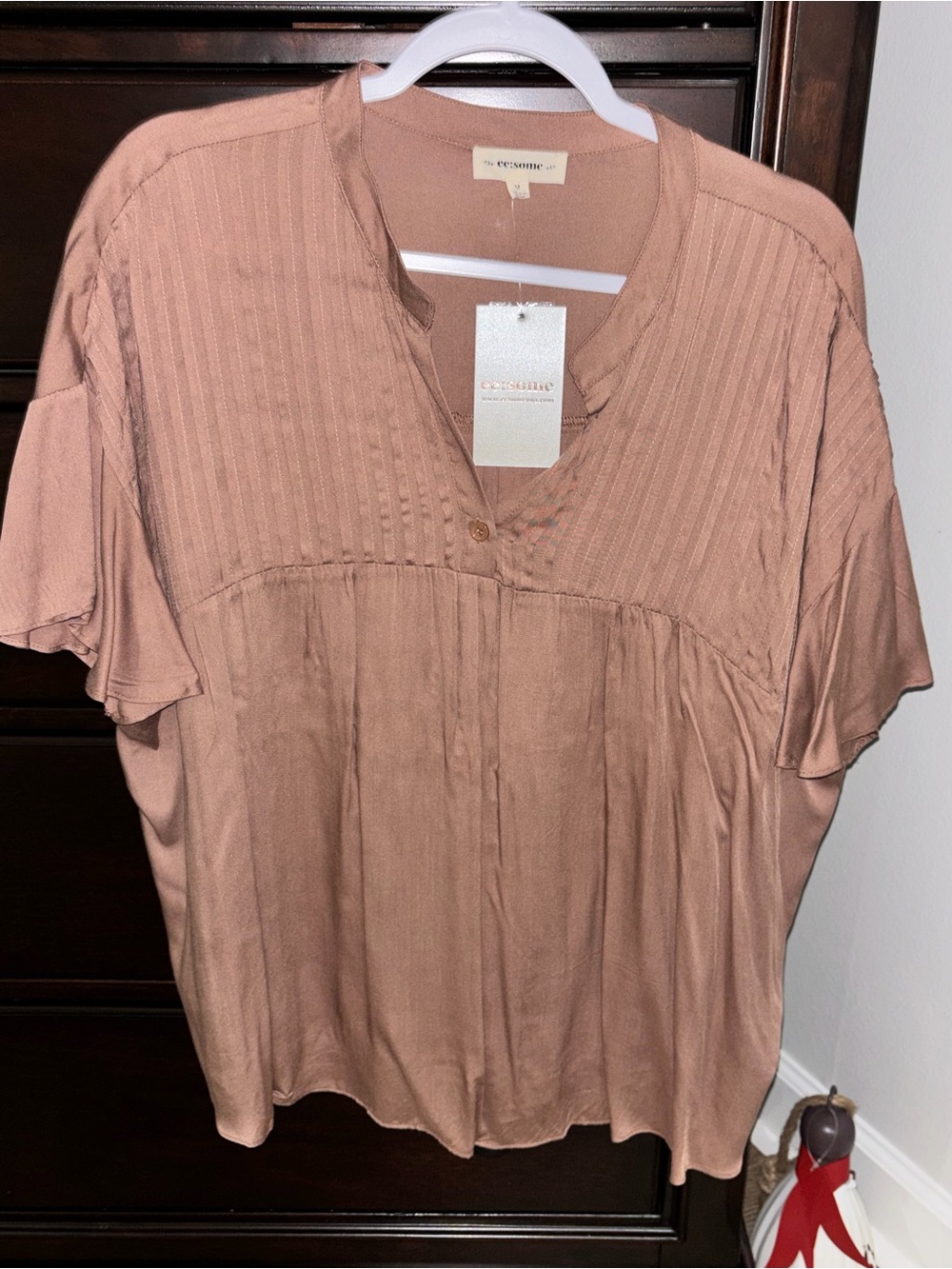 eesome Brown Short Sleeve Pleated V-Neck Blouse🐻NWT